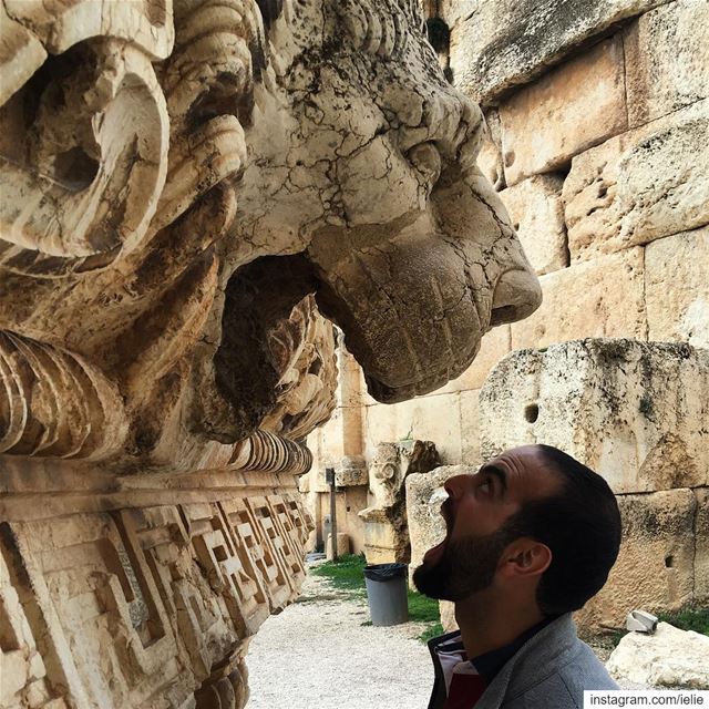Have no fear! 🙎🏻‍♂️vs 🦁.  baalbek  Lebanon  ruins  livelovelebanon ... (Baalbek, Lebanon)