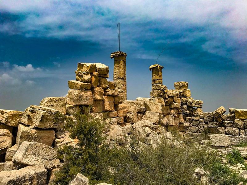 Have the courage to stand alone when you must. No matter how sparse your... (Hardîne, Liban-Nord, Lebanon)