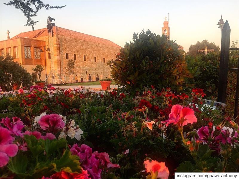 Have you been in “Der el Alaa”before? Where the Roman ruins still exists... (بيت مري. دير القلعة)