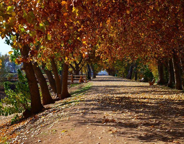 Have you ever been in  taanayel  Lebanon ?? taanayel  Lebanon  nature ...