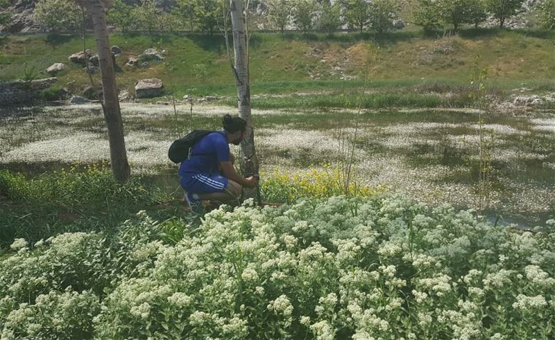 Have you ever searched for a fuck to give in nature? I have...... (`Ammiq, Béqaa, Lebanon)