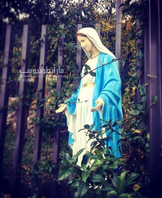  haveablessedweek with  virginmary may she protect you and guide your...