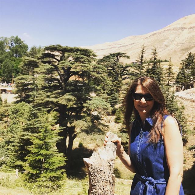  haveagreatday  haveaniceweekend  cedars  cedarsoflebanon  cedarsofgod ... (Cedars of God)