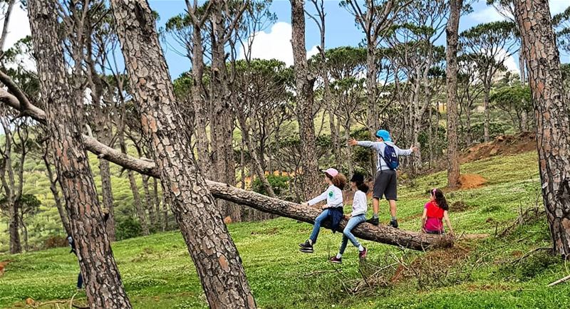 Having daily contact with nature keeps positives impact...What a blast!... (Qarnayel)