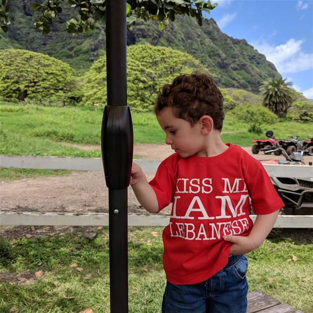  hawaii🌴   mygrandson  grandson  oahu  jurassicpark  waikikibeach  ... (Jurassic Park)