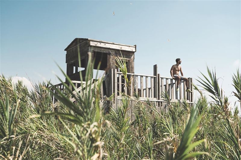 Haywatch 🌾🌞- lebanon  tripoli  rabbitisland  beach  hay  field  fun ... (Tripoli, Lebanon)