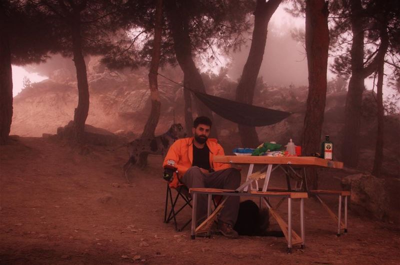 Haze Camp ⛺️👌🏻🇱🇧