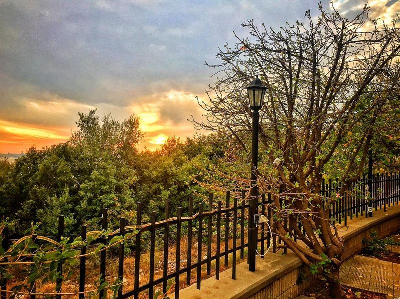 Hazy shades of winter 🍃🍁🍂 ...