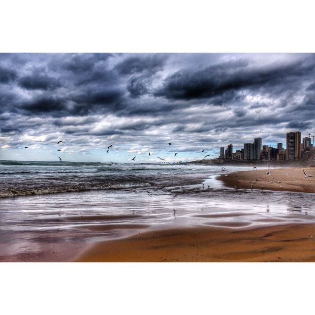  hdr  InstaSize  lebanon  beirut  stormzeina  zina  zeina  landscape  snow...