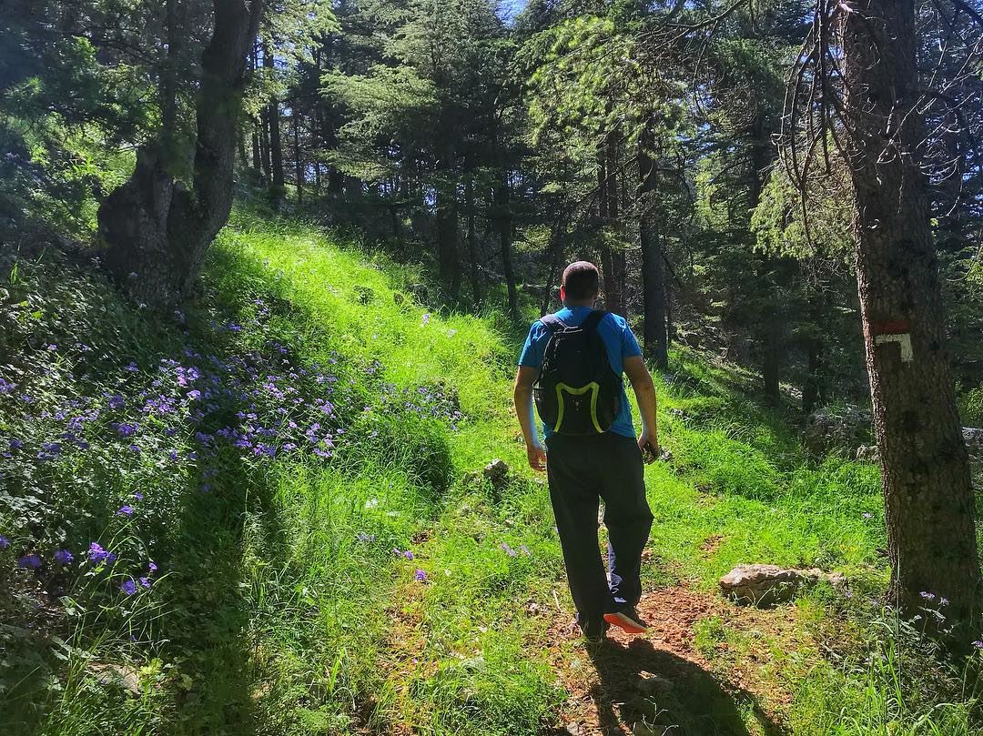He is hiking for food🤔🍰!  hungerManagement Join us this Sunday for a... (Hadath El-Jubbah, Liban-Nord, Lebanon)