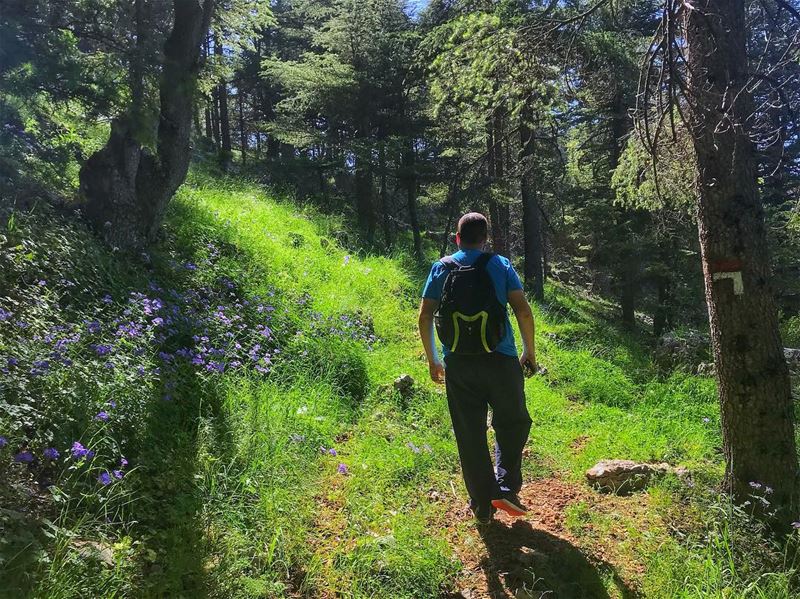 He is hiking for food🤔🍰!  hungerManagement Join us this Sunday for a... (Hadath El-Jubbah, Liban-Nord, Lebanon)