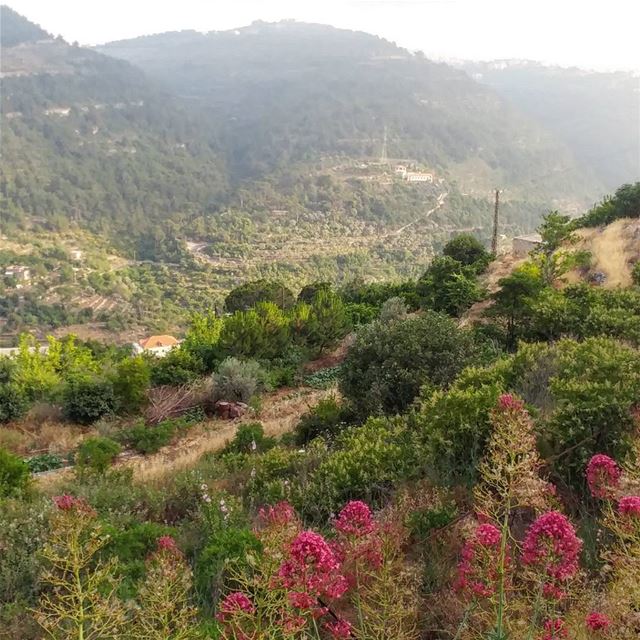 Heading out to enjoy some coolness before things heat up.  walktovillage ... (Dayr Al Qamar, Mont-Liban, Lebanon)