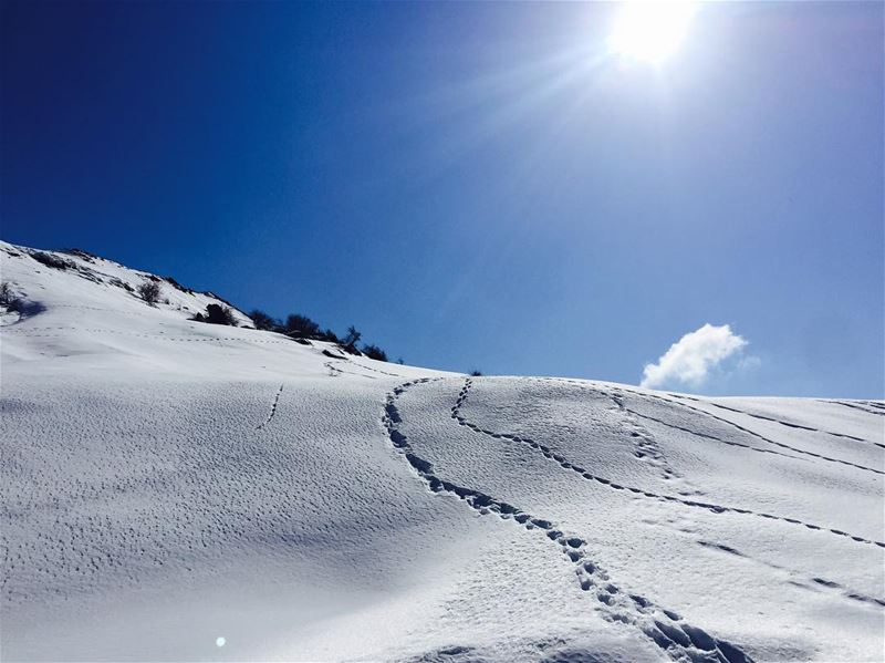 Heading to the other side of the mountain! JabalMoussa  unesco ... (Jabal Moussa)