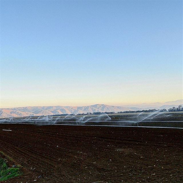  healthy  agricultural  land of  bekaa😍 bekaavalley  agriculture  farm ...