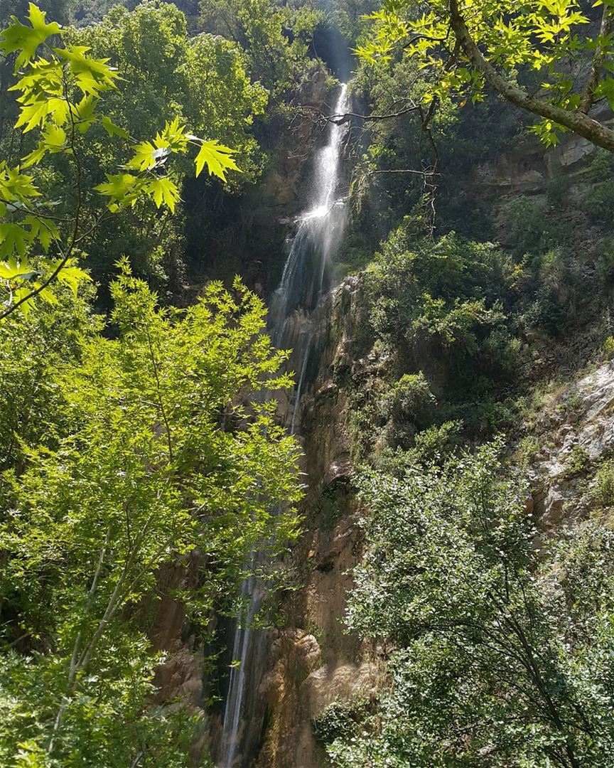 Heaven janne  lebanon  naturelovers  gowild  forest  waterfall  river ...