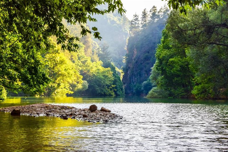 Heaven on earth...  lebanon  chouwen  lake  trees  heaven sun  nikon ... (Naher Ibrahim - Chuwwen)