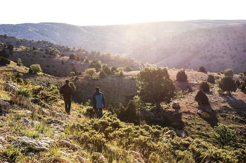 Heavenly light ...  wilderness... (Jroud Akoura)