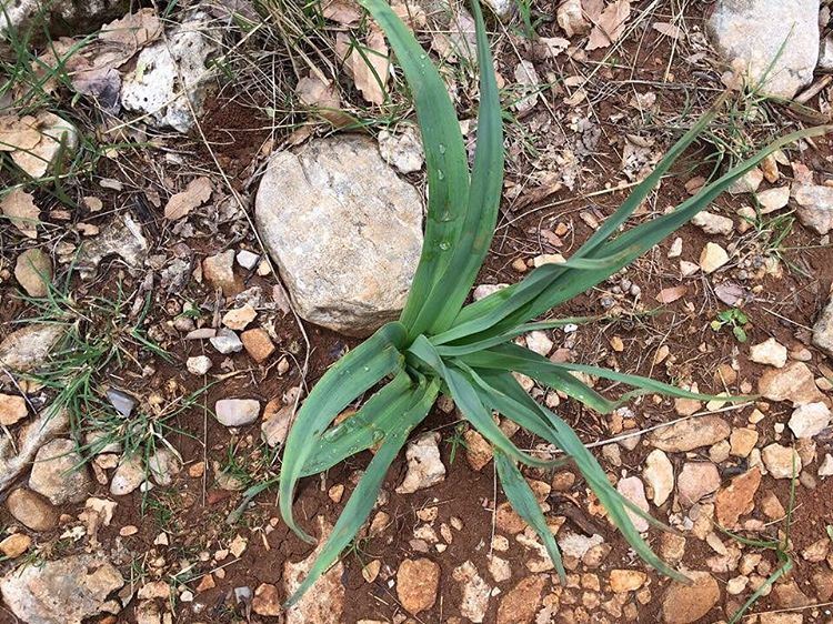 Hello April!Wishing you all a prosperous fools' day!  JabalMoussa ...