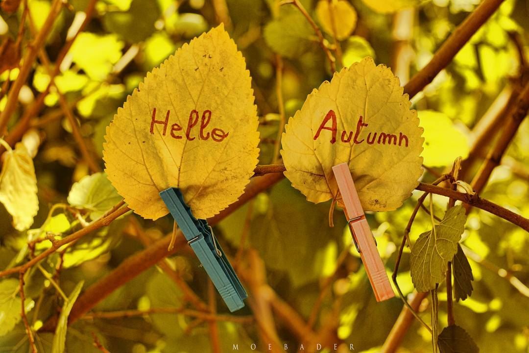 ▪Hello Autumn .▪Hello September .▪My Fav Season ❤----------------------- (At Home)