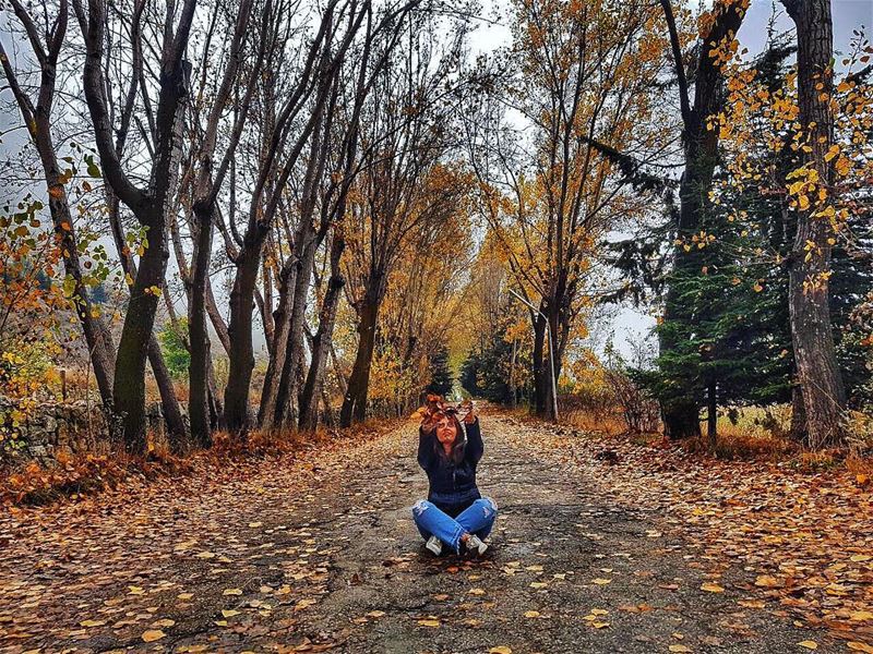 Hello  autumn 🍂🍁🍃📸 @pamchemali  autumnleaves ..... autumncolors... (El Laklouk, Mont-Liban, Lebanon)