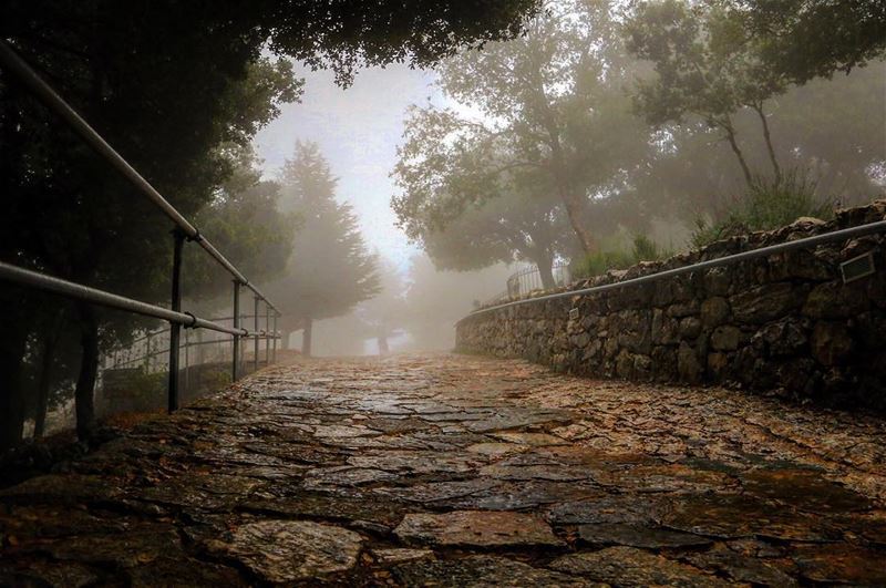 Hello Autumn🍂🍁•••• photooftheday  picoftheday  photography  igers ... (Mazar Saint Charbel-Annaya)