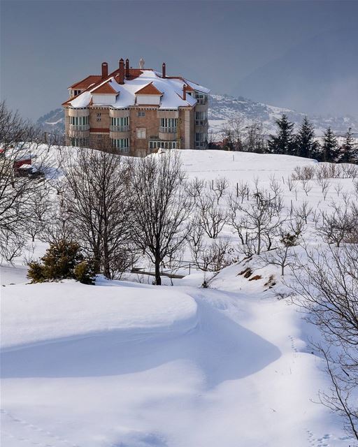 Hello back winter! ❄️❄️ Beautiful snow accumulations. Zaarour, Lebanon ... (Zaarour Club)