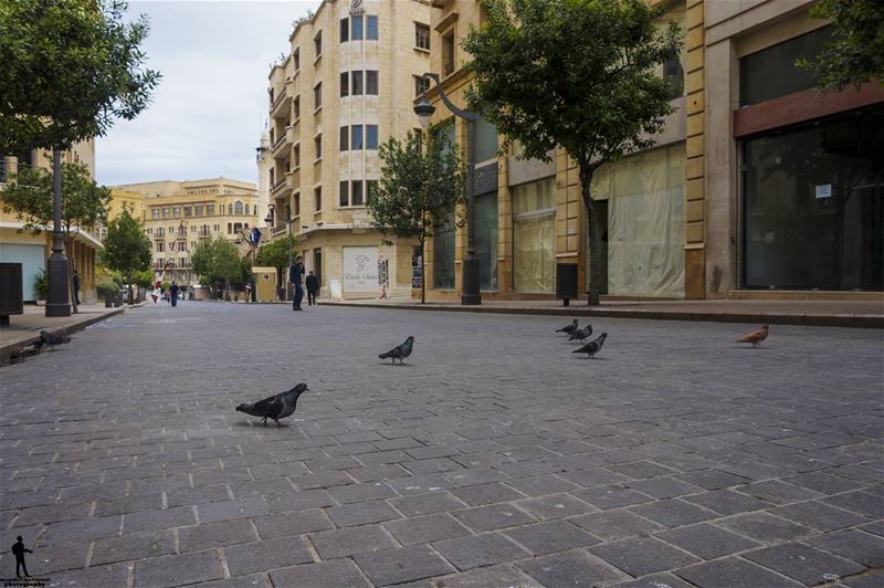 Hello 👋 beirut  downtown  lebanon  lebanonspotlight  lebanontimes ... (Downtown Beirut)