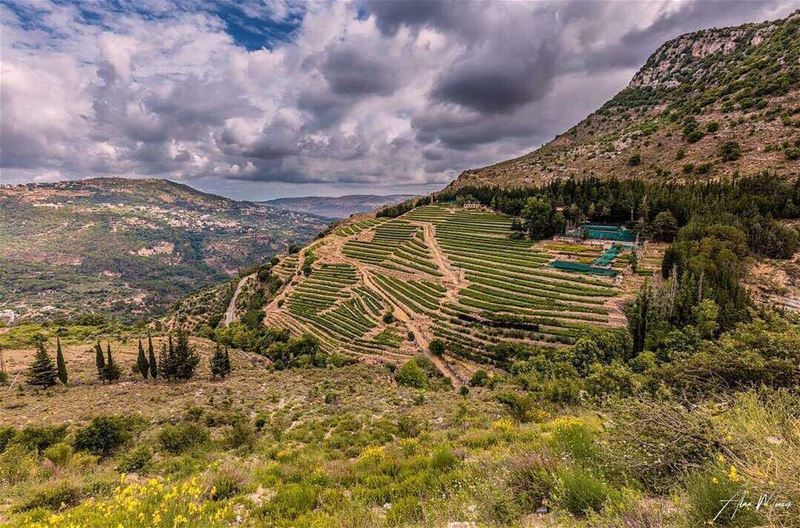 Hello dear followers💚 From Jezzine by @alaamonzer 😍💚😍💚😍💚😍💚 ...