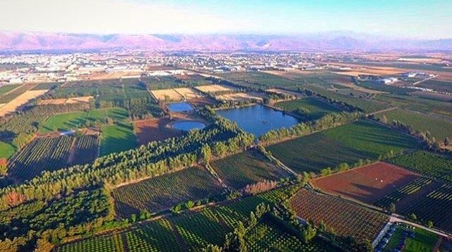 Hello everyone💚 From Taanayel by @chady.el.khoury 😍💚  OurLovelyLebanon ...