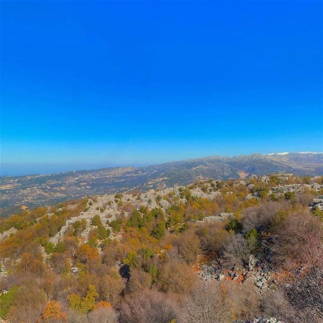 Hello  February! JabalMoussa  unescomab  unesco  biospherereserve ...