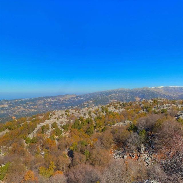 Hello  February! JabalMoussa  unescomab  unesco  biospherereserve ...