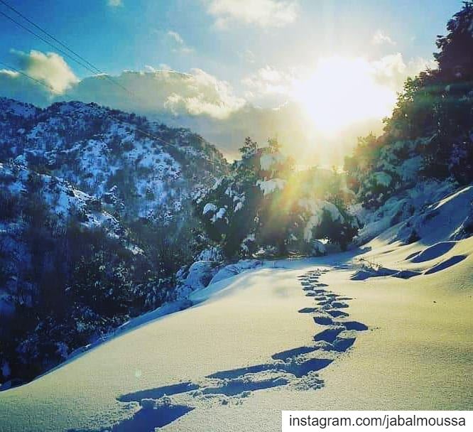 Hello February !  JabalMoussa  unescomab  unesco  biospherereserve ... (Jabal Moussa Biosphere Reserve)