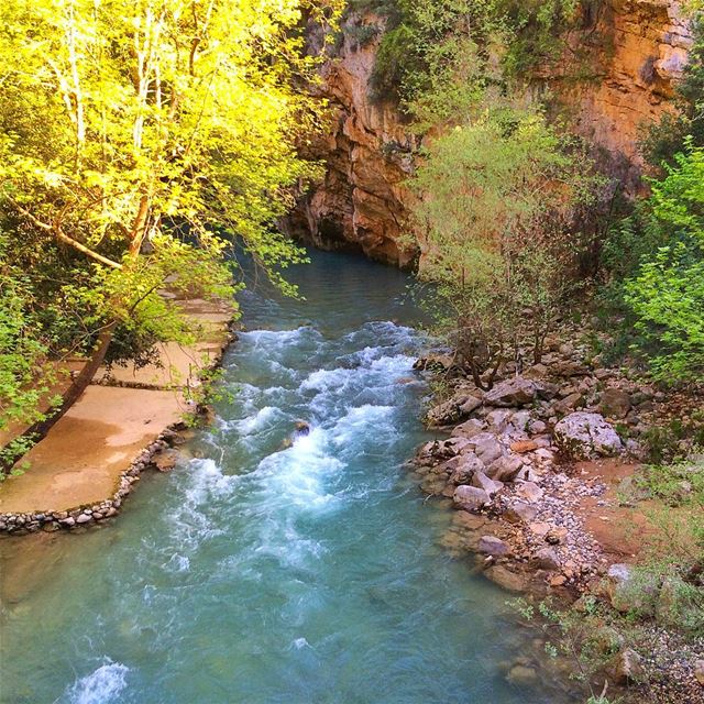 Hello friends.. 😍 lebanon  nature  naturelovers  natureporn  landscape ... (Nahr Ibrahim, Mont-Liban, Lebanon)