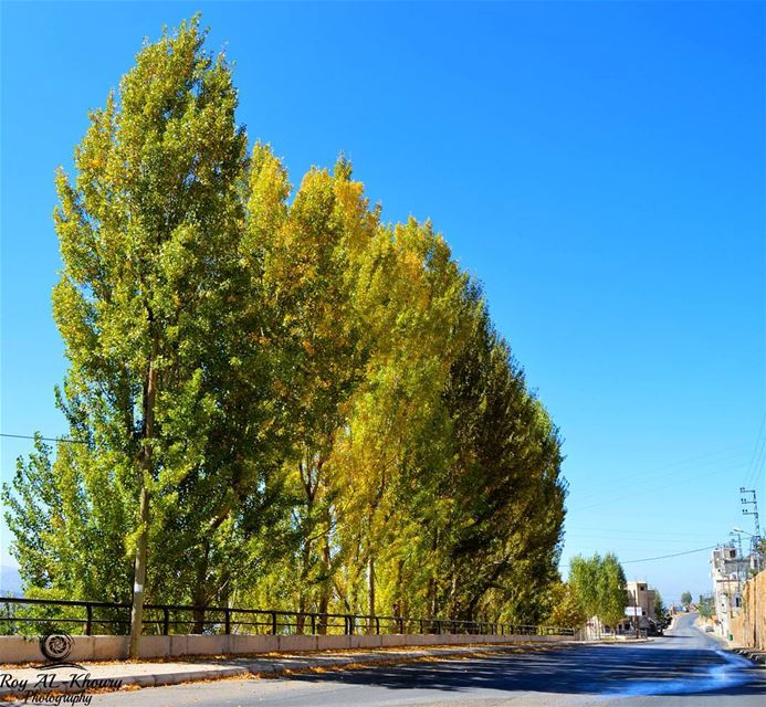 Hello from  ehden ! RoyALKhouryPhotography  liveloveehden ... (Ehden, Lebanon)