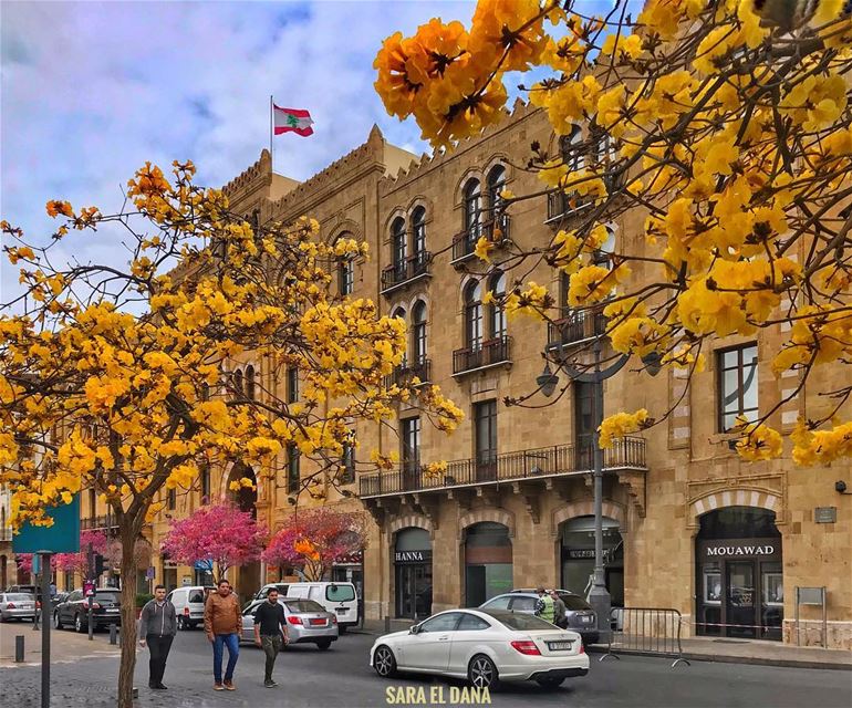 Hello gorgeous Beirut! 🌼 (Downtown Beirut)