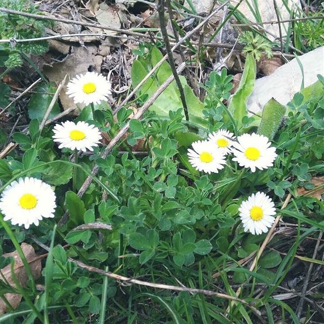 Hello June!! JabalMoussa  unesco  biospherereserve  hike  hiking ...