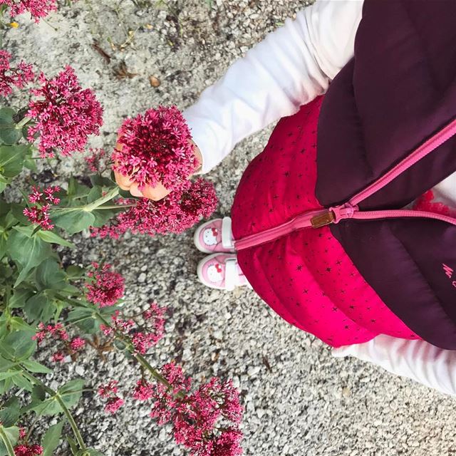 Hello Kitty🌺 wheremyshoeslead. LittleNiece  LikeAuntyLikeNiece ... (Bsharri, Lebanon)