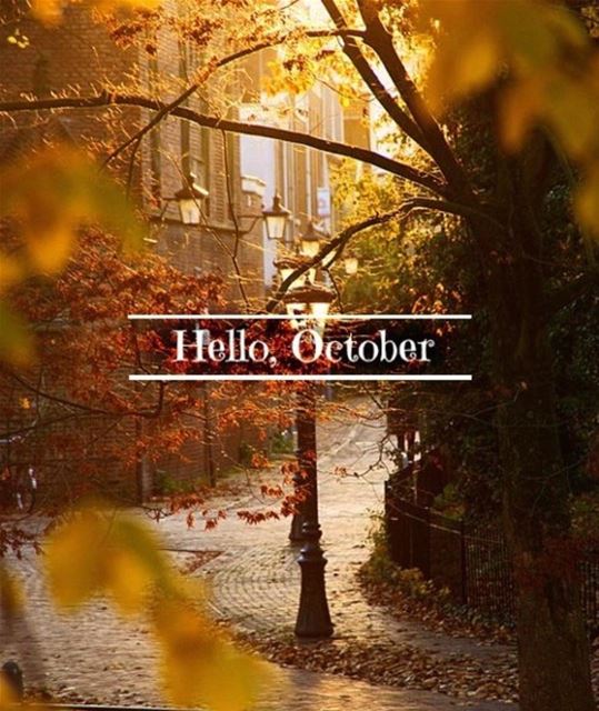 Hello OCTOBER 👋🏻🍁🍂... goodmorning morningpost october...