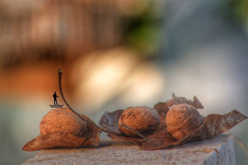 Hello October  nut october fall greattimes  greatdays shots Lebanon...