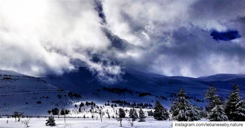 Hello  Saturday Faturday .. Take me to my  happy place ☃️❄️.. clouds ... (Arz Bcharé)