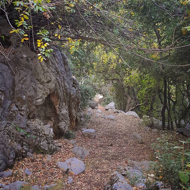 Hello September 🍂🍃🍁💚 (Kfardebian)