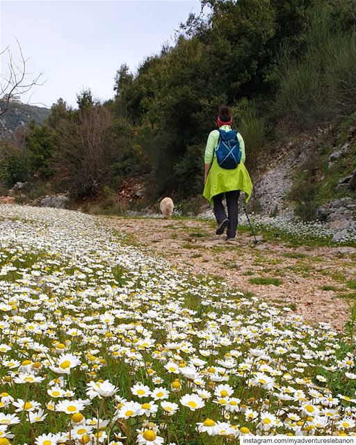 Hello spring 🦋🌼 myadventureslebanon mountaineering  choosemountains ... (Wadi El Salib - Kfardebian)