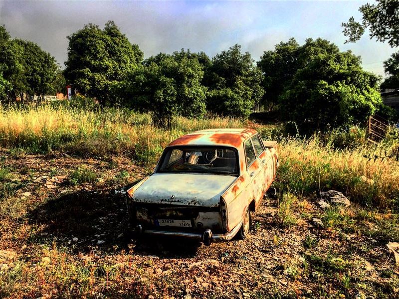 Hello Toula!  vintage  vintagecar  peugeot404  Toula ...