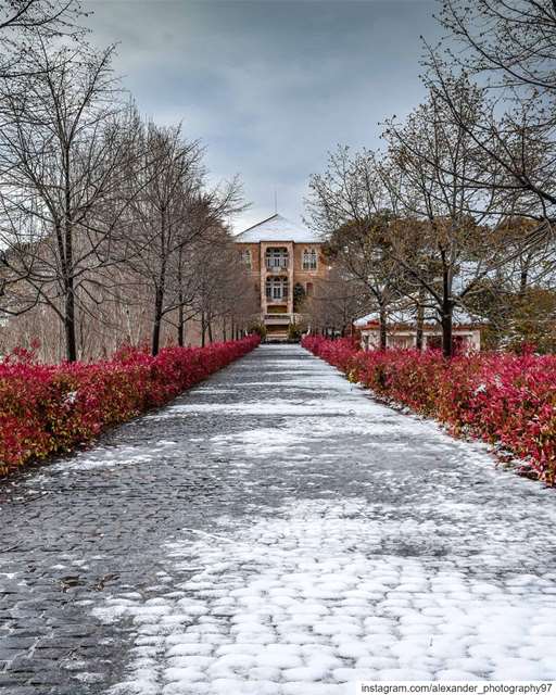 Hello White 2020 - Sawfar first snow. . sawfar  lebanon  insta_lebanon ... (Sawfar-صوفر)