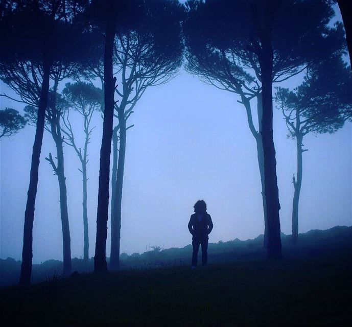 Hello Winter 😊.. -_-_-_--_-_-_-_--_-_-_--_-_-__--__--_-_-_-_-_@youness.c (Jezzîne, Al Janub, Lebanon)