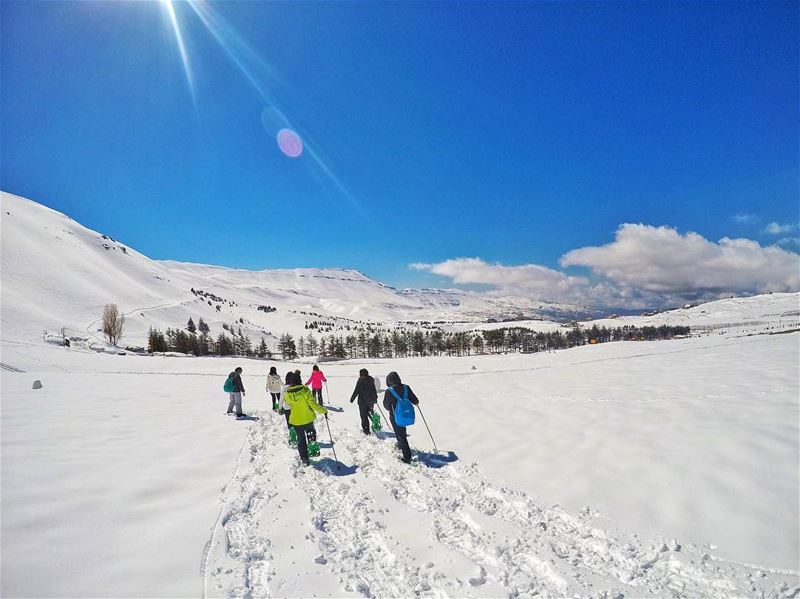 Hello winter ❄️ snowshoeing  livelovelebanon  snow  winterwonderland ... (Cedars of God)