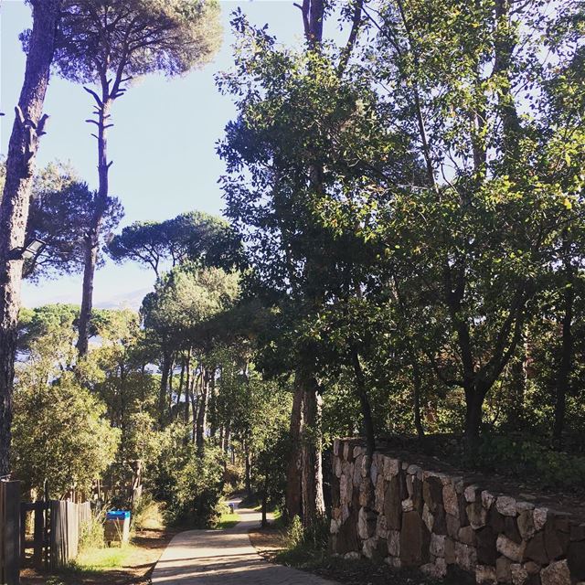  hellofromnature  goodday  goodmood  happyday  mothernature  trees  green ... (Jezzine District)