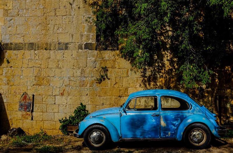 Herbie Goes to Hasbaya. Born in 1968, I belong to the Love Bug Generation,... (Hasbaya)