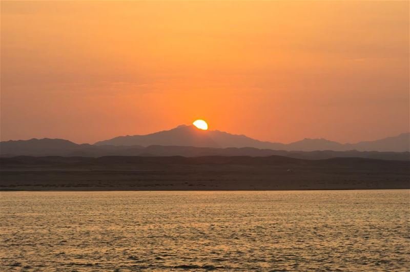 Here comes the sun... shot in  redsea  egypt  sunrise  colors  liveaboard ...