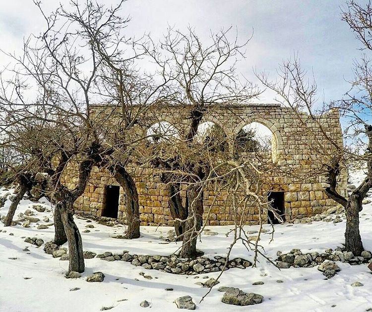 Here is one of the many things you'll see after 2 hours of hiking starting... (Jabal Moussa)